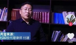 莆田老板爆料新闻视频播放,揭秘新闻视频背后的真相